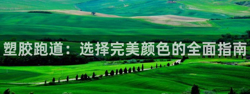 谈球吧官网在线入口免费观看高清：塑胶跑道：选择完美颜色的全面指南
