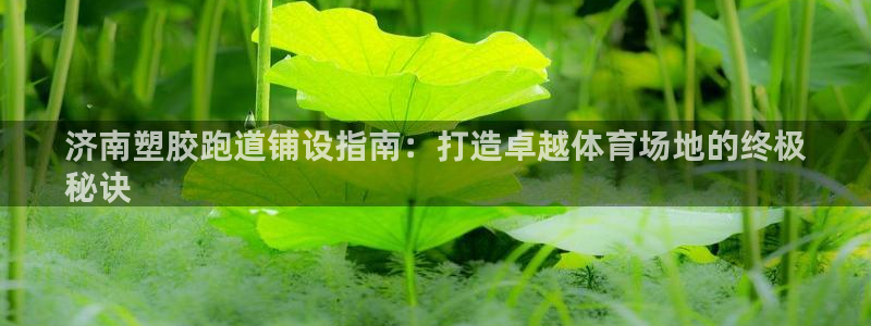 谈球吧论坛：济南塑胶跑道铺设指南：打造卓越体育场地的