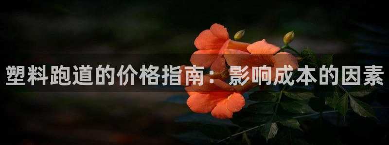 谈球吧综合官网app：塑料跑道的价格指南：影响成本的因素