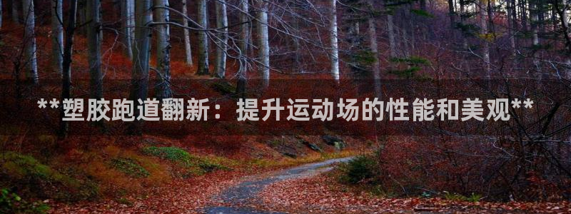 谈球吧的聊天软件叫什么来着：**塑胶跑道翻新：提升运