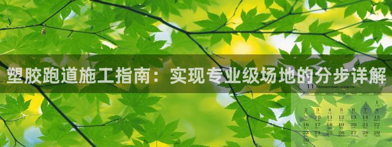 谈球吧平台正规吗可靠吗：塑胶跑道施工指南：实现专业级场地的分步详解