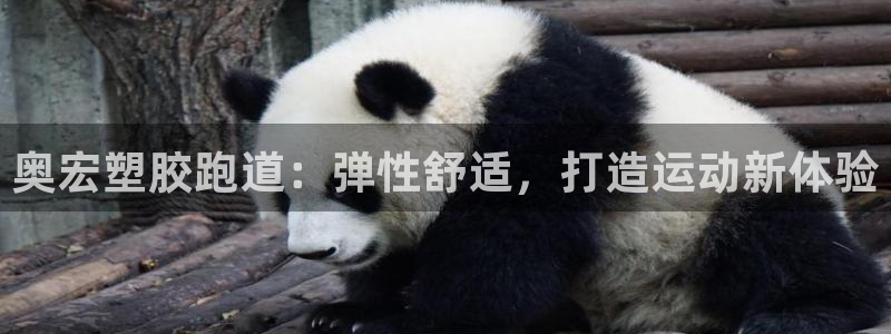 谈球吧是黑台子吗还是白台：奥宏塑胶跑道：弹性舒适，打造运动新体验