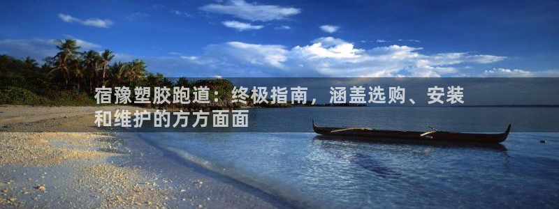 谈球吧平台app下载网址：宿豫塑胶跑道：终极指南，涵盖选购、安装
和维护的方方面面