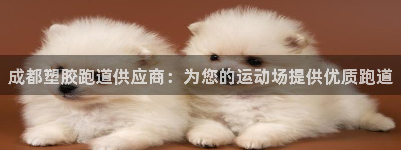 谈球吧打不开了：成都塑胶跑道供应商：为您的运动场提供优质跑道