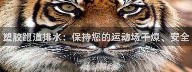 谈球吧靠谱吗：塑胶跑道排水：保持您的运动场干燥、安全