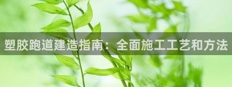 谈球吧app体育下载：塑胶跑道建造指南：全面施工工艺和方法