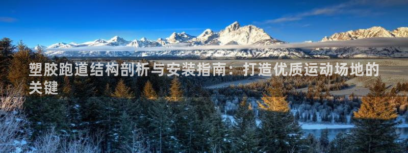 谈球吧账号有人收吗：塑胶跑道结构剖析与安装指南：打造优质运动场地的
关键