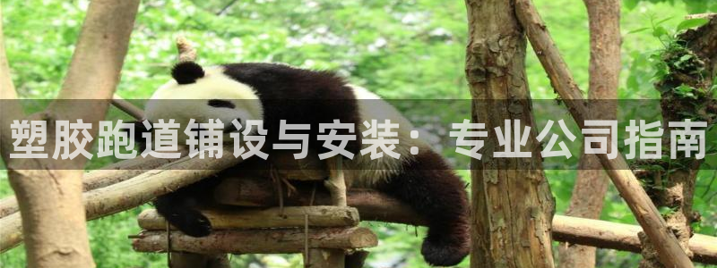 谈球吧体育首页综合登陆：塑胶跑道铺设与安装：专业公司指南