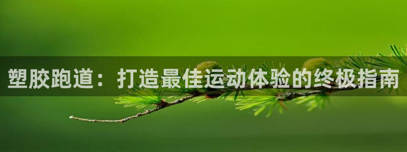 谈球吧官方网站：塑胶跑道：打造最佳运动体验的终极指南