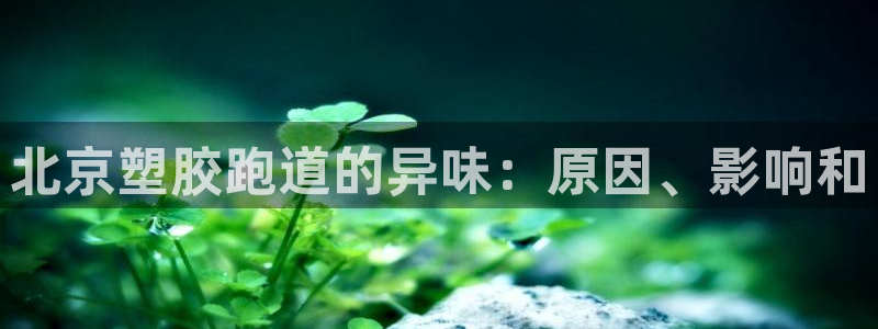 谈球吧平台正规吗：北京塑胶跑道的异味：原因、影响和