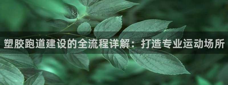 谈球吧官网在线入口免费观看视频下载：塑胶跑道建设的全流程详解：打造专业运动场所