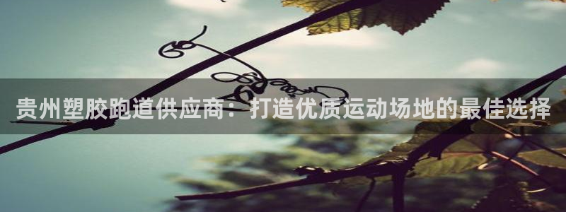 谈球吧体育官方入口：贵州塑胶跑道供应商：打造优质运动场地的最佳选择