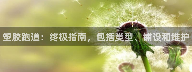 谈球吧app下载：塑胶跑道：终极指南，包括类型、铺设