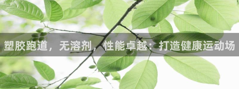 谈球吧黑款：塑胶跑道，无溶剂，性能卓越：打造健康运动