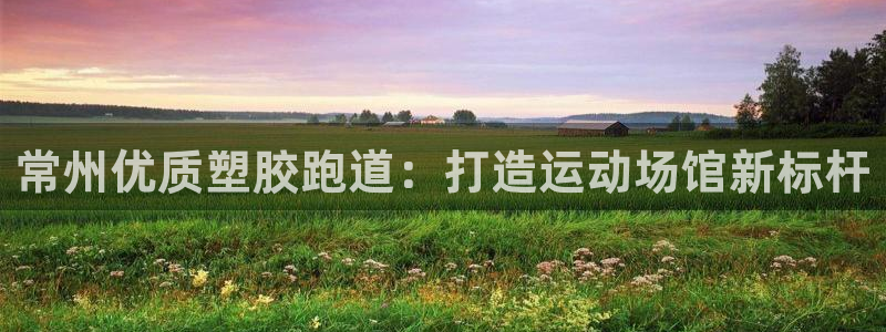 谈球吧官网在线入口免费观看视频下载：常州优质塑胶跑道：打造运动场馆新标杆
