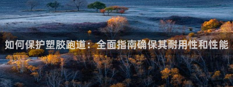 谈球吧官网提款不了：如何保护塑胶跑道：全面指南确保其耐用性和性能