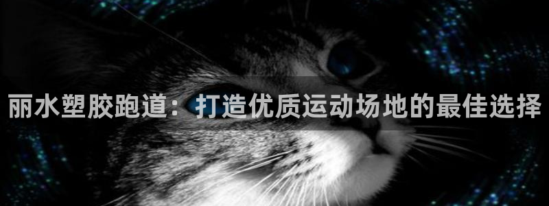 谈球吧体育app下载官网手机版安装：丽水塑胶跑道：打造优质运动场地的最佳选择