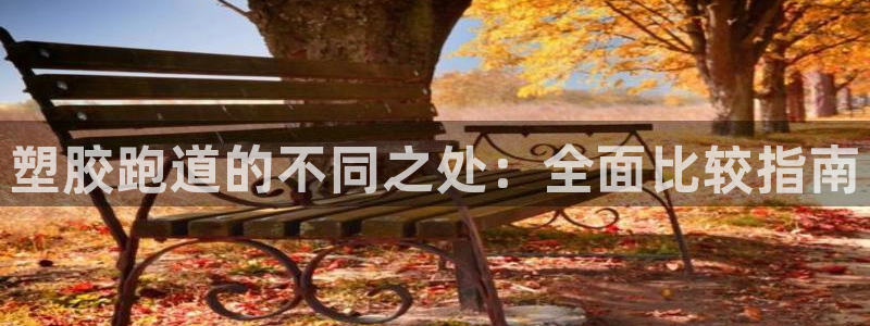 谈球吧在线观看：塑胶跑道的不同之处：全面比较指南