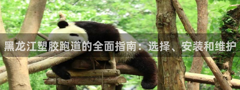 谈球吧出款：黑龙江塑胶跑道的全面指南：选择、安装和维护