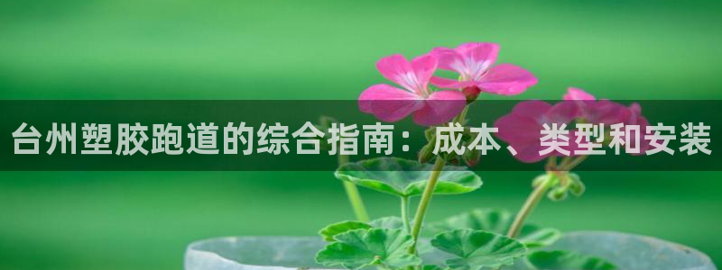 谈球吧官网在线入口免费观看高清：台州塑胶跑道的综合指南：成本、类型和安装