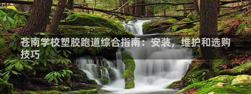 谈球吧平台正规吗：苍南学校塑胶跑道综合指南：安装，维护和选购
技巧