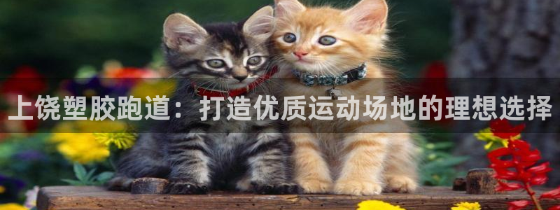 谈球吧体育app下载足球直播：上饶塑胶跑道：打造优质运动场地的理想选择