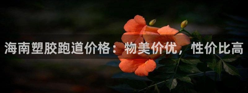 谈球吧官网app下载：海南塑胶跑道价格：物美价优，性价比高