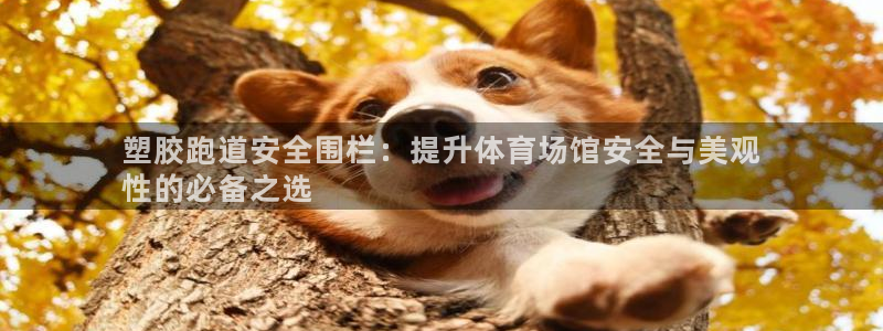 谈球吧体育app下载官网安卓