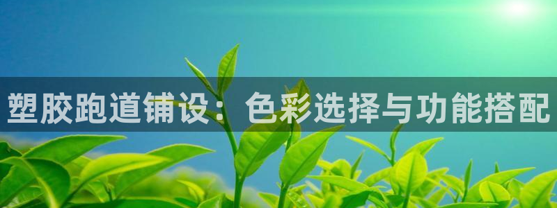 谈球吧最新APP下载：塑胶跑道铺设：色彩选择与功能搭配