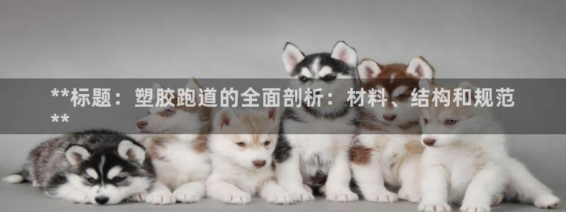 谈球吧网页版在线入口：**标题：塑胶跑道的全面剖析：材料、结构和规范
**