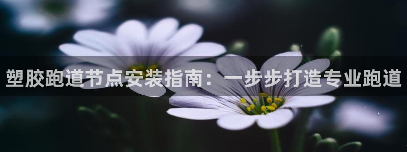 谈球吧体育app下载中心在哪找：塑胶跑道节点安装指南：一步步打造专业跑道