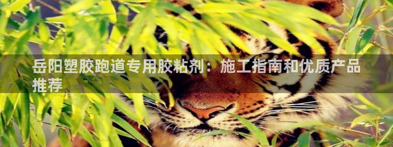 谈球吧app官网下载安卓：岳阳塑胶跑道专用胶粘剂：施工指南和优质产品
推荐