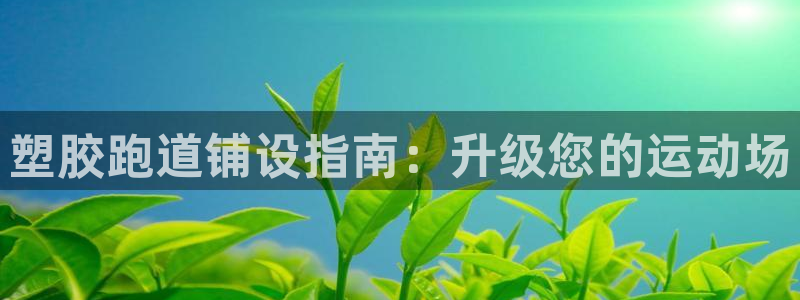 谈球吧app体育下载：塑胶跑道铺设指南：升级您的运动场