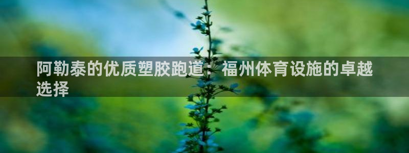 谈球吧的聊天软件下载：阿勒泰的优质塑胶跑道：福州体育
