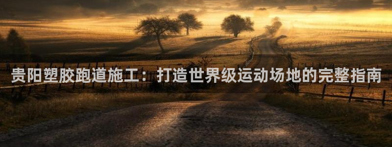 贵阳塑胶跑道施工：打造世界级运动场地的完整指南