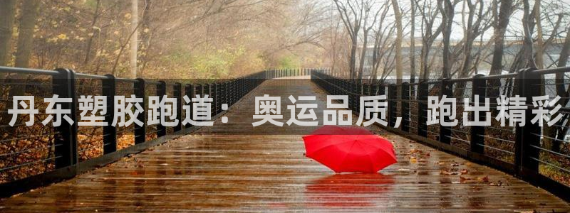 谈球吧体育ios下载：丹东塑胶跑道：奥运品质，跑出精