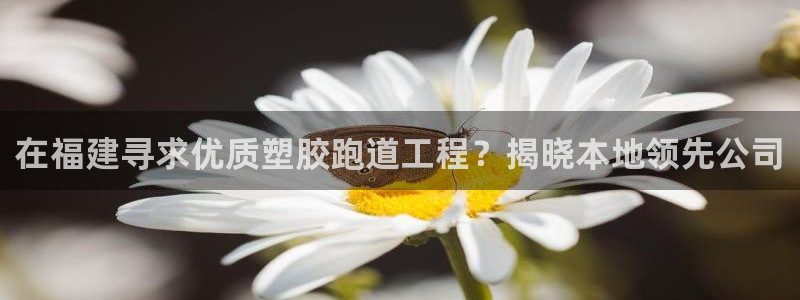谈球吧算违法行为吗知乎：在福建寻求优质塑胶跑道工程？揭晓本地领先公司