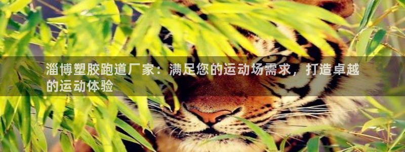 谈球吧官网在线入口手机版：淄博塑胶跑道厂家：满足您的运动场需求，打造卓越
的运动体验