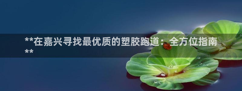 谈球吧网页版：**在嘉兴寻找最优质的塑胶跑道：全方位