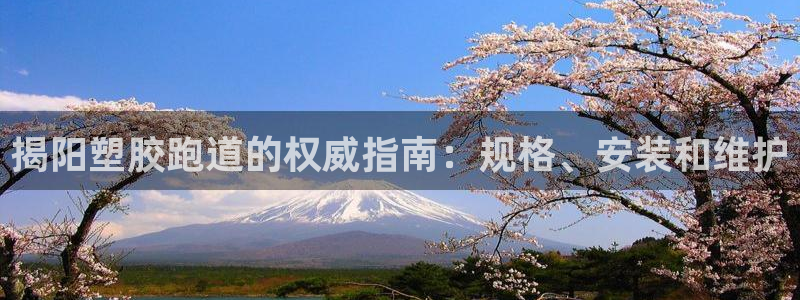 谈球吧体育app下载中心：揭阳塑胶跑道的权威指南：规格、安装和维护