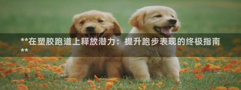 谈球吧APP：**在塑胶跑道上释放潜力：提升跑步表现的终极指南
**