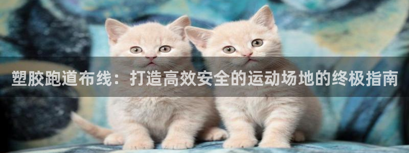 谈球吧体育app下载官网苹果手机：塑胶跑道布线：打造