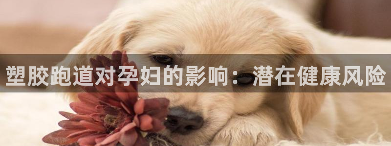 谈球吧在线观看：塑胶跑道对孕妇的影响：潜在健康风险