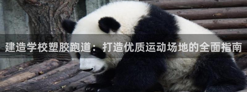 谈球吧是正规平台吗安全吗：建造学校塑胶跑道：打造优质运动场地的全面指南