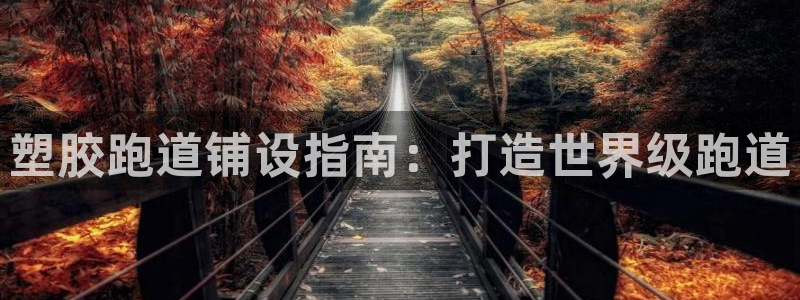 tqb谈球吧：塑胶跑道铺设指南：打造世界级跑道