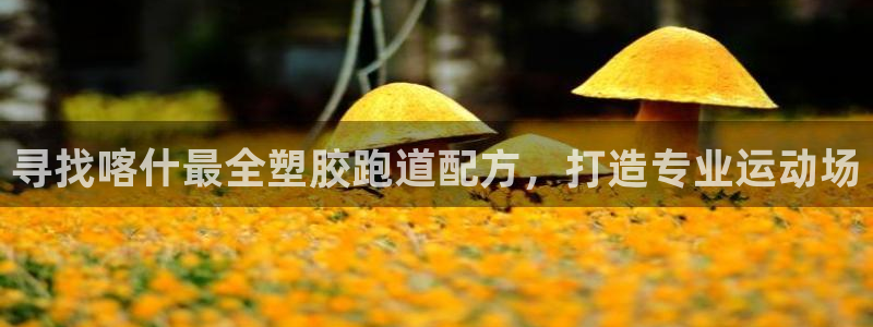 谈球吧体育app登陆入口：寻找喀什最全塑胶跑道配方，打造专业运动场