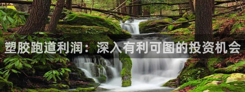 谈球吧官网在线入口手机版免费下载：塑胶跑道利润：深入有利可图的投资机会