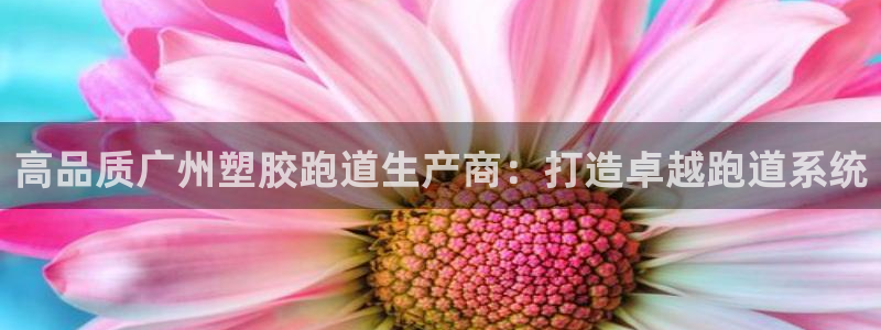 谈球吧网页版：高品质广州塑胶跑道生产商：打造卓越跑道系统