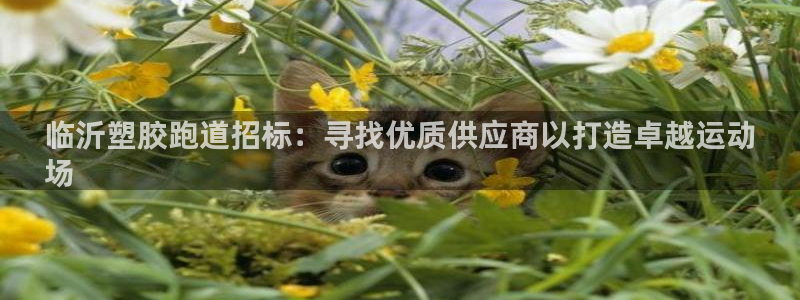 谈球吧娱乐app下载官网苹果：临沂塑胶跑道招标：寻找优质供应商以打造卓越运动
场