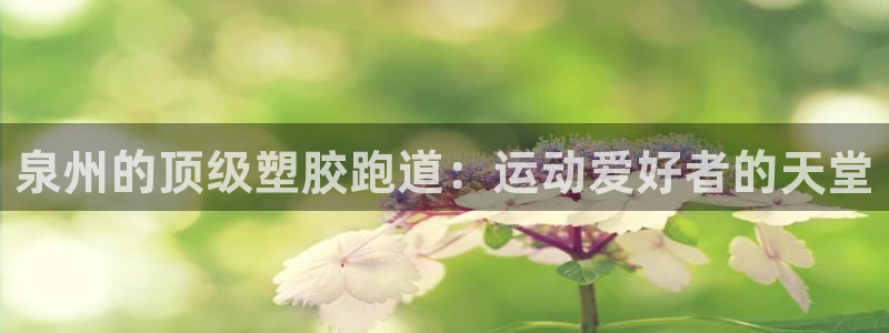 谈球吧网页登陆：泉州的顶级塑胶跑道：运动爱好者的天堂